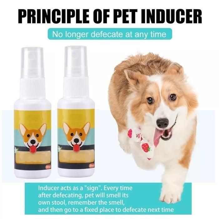 Potty Training Spray for Pets